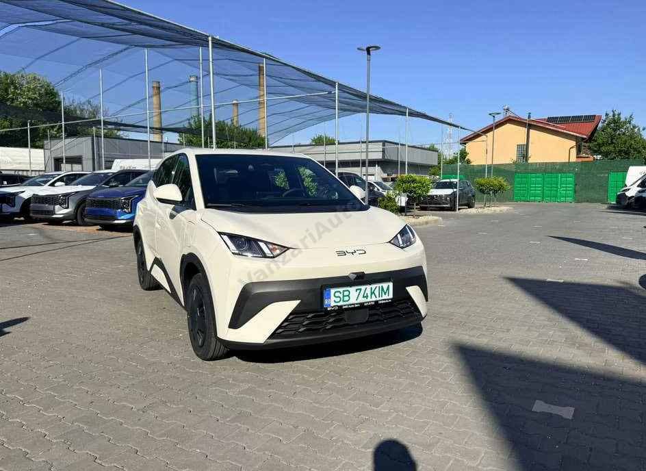 Byd Dolphin