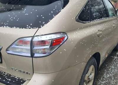 Lexus Seria RX
